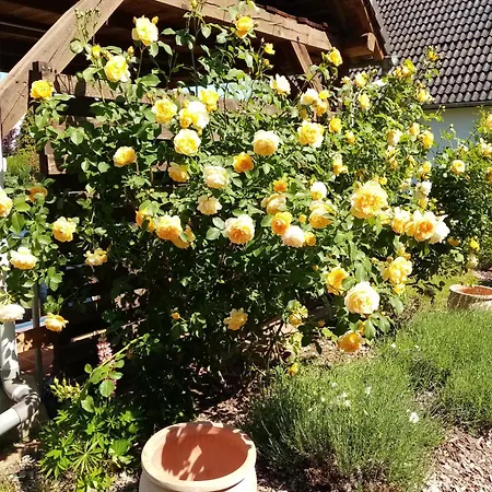 Appartement Meuble Confort A La Campagne
