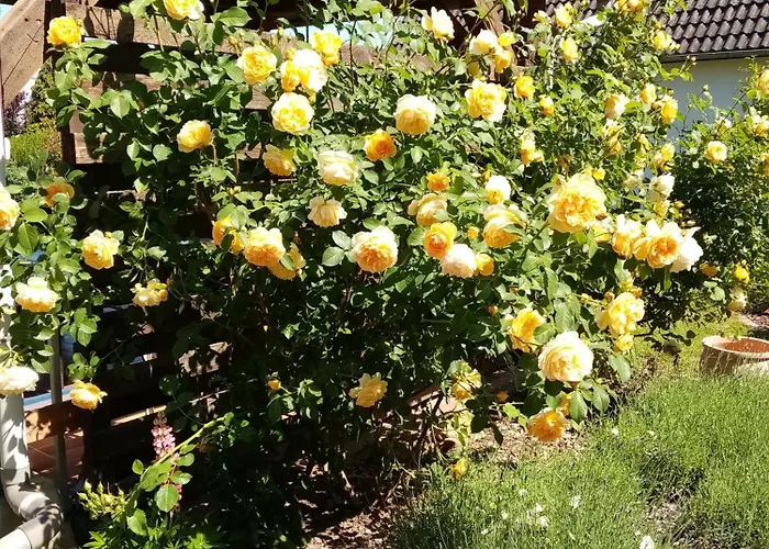 Apartment Meuble Confort A La Campagne