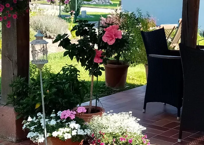 Apartment Meuble Confort A La Campagne Uhrwiller